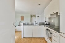 Moderne Kücheneinrichtung mit Kühlschrank und Herd mit eingebautem Elektrobackofen unter Schrank im Haus an sonnigen Tagen — Stockfoto