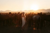 Back view of anonymous lady in white dress with herd of horses in field under sunset — Stock Photo