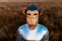 Anonymous person in geometric monkey mask looking at camera in yellow field on blurred background — Stock Photo