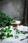 Verre de mousse sucrée au chocolat et noix de coco garni de feuilles de menthe et placé sur la table avec des plantes vertes — Photo de stock