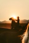 Вид збоку силует вершника в капелюсі під безхмарним небом на заході сонця в сільській місцевості — стокове фото