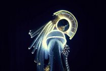 Seitenansicht einer unkenntlich gemachten Person in futuristischem LED-Anzug des Weltraumcharakters mit leuchtenden Neonlichtern auf schwarzem Hintergrund im Studio — Stockfoto