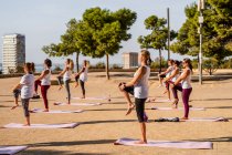 Side view of group of women in activewear standing knee to chest on yoga mats during session in park with green trees in sunny day — Stock Photo
