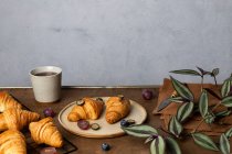 Deliciosos cruasanes recién horneados servidos en el plato con frutas colocadas cerca de la taza de té en la mesa de madera por la mañana en la sala de luz - foto de stock