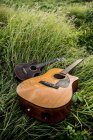 Высокий угол акустической гитары и укулеле помещается на зеленой траве, растущей в природе в летнее время при дневном свете — стоковое фото