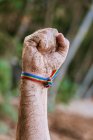 Crop unrecognizable male with rainbow bracelet demonstrating fist in sand against green trees growing in nature in sunny day — Stock Photo