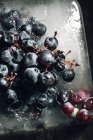 Вид сверху куска льда с виноградом, помещенным на металлическую лодку при солнечном свете — стоковое фото