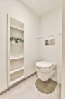 Interior moderno do banheiro com banheiro contra prateleira com plantas na parede de azulejos em casa de luz — Fotografia de Stock