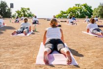 Visão traseira de mulheres irreconhecíveis em activewear mentindo e realizando Salamba Bhujangasana enquanto pratica ioga ao ar livre no parque contra árvores verdes e céu azul sem nuvens em dia ensolarado — Fotografia de Stock