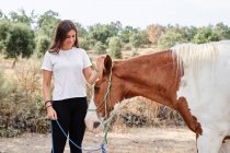 Щаслива жінка кидає коня з мотузкою в руці, стоячи на піщаному ґрунті біля бар'єру і рослин в денне світло на фермі — стокове фото