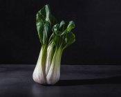 Здоровий свіжий бок Чой капустяний лист овоч, розміщений на чорному столі на темному фоні — стокове фото