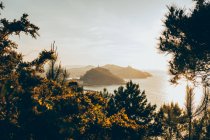 Vista espetacular através de ramos de plantas verdes em águas calmas da Baía da Biscaia com formações rochosas localizadas em San Sebastian, na Espanha, em dia ensolarado — Fotografia de Stock