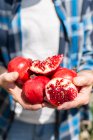 Анонимный садовник-садовник урожая показывает горстку свежесобранных гранатов с красными семенами во время сбора урожая в саду в летний день — стоковое фото