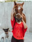 Ritaglio anonimo volto femminile nascosto dietro muso di cavallo castagno in imbracatura nel paddock — Foto stock