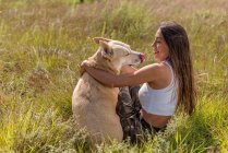 Side view of female owner and obedient dog looking at each other while resting in grassy field with tall trees — Stock Photo