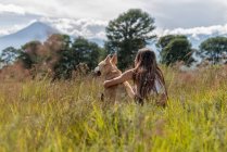 Обратный вид хозяйки и послушной собаки, обнятой во время отдыха на травянистом поле с высокими деревьями — стоковое фото