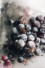 Top view of piece of ice with grapes placed on metal tray at sunlight — Stock Photo