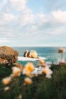 Increíble paisaje de costa con islotes rocosos bañados por tranquilas aguas azules cerca de la costa con flores florecientes en la tarde de verano en Liencres Cantabria España - foto de stock