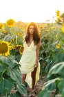 Изящная молодая латиноамериканка в стильном желтом платье, стоящая посреди цветущих подсолнухов в сельской местности в солнечный летний день, глядя в камеру — стоковое фото