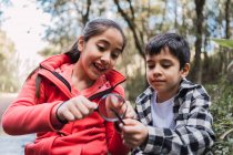 Ethnic child with magnifying glass demonstrating fern plant to sibling while exploring forest in daytime — Stock Photo