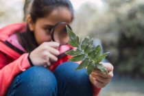 Criança focada com folha de planta verde olhando através de lupa em madeiras em fundo embaçado — Fotografia de Stock