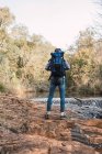 Чоловічий пішохід з рюкзаком, що стоїть на озері в лісі і дивиться в сторону — стокове фото