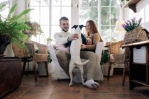 Barbudo hombre con sonrisa novia abrazando pura raza perro mientras descansa en sillón contra ventana en casa habitación - foto de stock