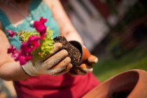 Анонимная зрелая женщина-садовница, переносит растение в большой цветочный горшок в своем саду — стоковое фото