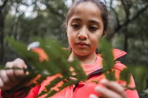 Enfant ciblé ethnique avec feuille de plante verte regardant à travers la loupe dans les bois explorant la forêt pendant la journée — Photo de stock