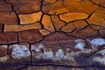 Paisagem íntima abstrata de lama rachada com tons quentes e frios — Fotografia de Stock
