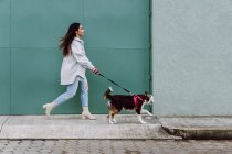 Seitenansicht einer Besitzerin, die mit Border Collie Hund an der Leine läuft und Spaß beim Stadtbummel hat — Stockfoto
