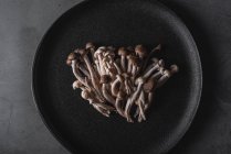 Vue de dessus des champignons shimeji frais servis sur plaque noire sur table noire en studio — Photo de stock