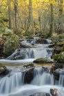 Malerischer Blick auf Wasserfall fließt Felsen in bergigen Wäldern im Herbst in Langzeitbelichtung am Fluss Lozoya im Guadarrama-Nationalpark — Stockfoto