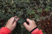 Geschnitten unkenntlich ethnisch fokussiertes Kind mit grünem Pflanzenblatt, das tagsüber durch die Lupe im Wald sucht — Stockfoto