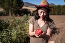 Upset ethnic female farmer in straw hat standing with bitten tomato in field in countryside on sunny day — Stock Photo