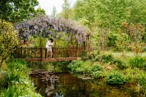 Vista remota di coppia amorevole che si abbraccia sul ponte sul laghetto mentre in piedi sotto arco con fiori di glicine in fiore nel giardino naturale — Foto stock