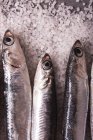 Vista superior de pequenas anchovas servidas em fileira no sal na mesa preta — Fotografia de Stock
