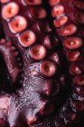 Hohe Nahaufnahme frischer Tintenfische mit roten Saugnäpfen auf dunklem Tisch — Stockfoto