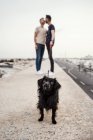 Adorabile cane soffice guardando contro gli uomini omosessuali che si baciano sul molo sotto il cielo chiaro in città — Foto stock