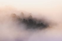 Vista panoramica di Pedriza con rigogliosi alberi verdi che crescono sulla catena montuosa Guadarrama sotto il cielo nebbioso all'alba in Spagna — Foto stock