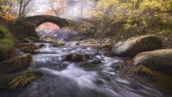 Malerischer Blick auf flachen Fluss mit schnellen Aquaflüssen unter alter Brücke zwischen Bäumen im Herbst in Lozoya, Madrid, Spanien — Stockfoto