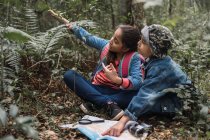 Этническая девушка показывает зеленое растение брату, глядя в сторону и сидя на местности с бумажной картой и лупой в лесу — стоковое фото