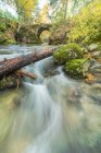 Vista pitoresca da cascata com fluido de água espumosa entre pedregulhos com musgo e árvores douradas no outono com uma ponte de pedra no fundo — Fotografia de Stock