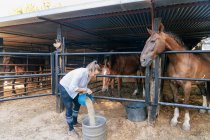 Vista laterale dell'agricoltrice che versa cibo per nutrire i cavalli in stalla nel ranch in estate — Foto stock