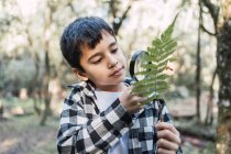 Criança focada com folha de planta verde olhando através de lupa em madeiras em fundo embaçado — Fotografia de Stock