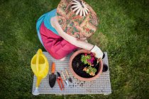 Vue de dessus du jardinier mature anonyme, transfère une plante dans un grand pot de fleurs dans son jardin à la maison — Photo de stock