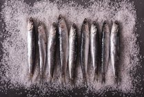Vista superior de pequenas anchovas servidas em fileira no sal na mesa preta — Fotografia de Stock