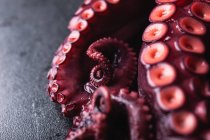 High angle closeup of fresh octopus tentacles with red suckers placed on dark table — Stock Photo