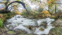 Vista panorámica del monte con río con fluidos de agua espumosa sobre piedras entre árboles otoñales en Lozoya, Madrid, España. - foto de stock