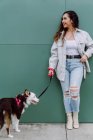 Cultivo irreconocible propietario femenino sentadilla cerca de la pared con adorable esponjoso Border Collie perro con correa durante un paseo en la calle de la ciudad - foto de stock